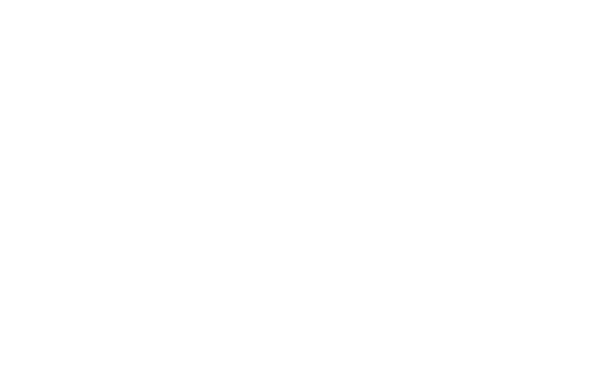 loeBWVC logo