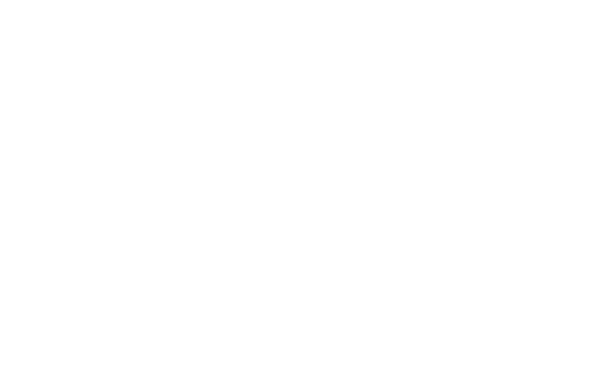 ADN logo