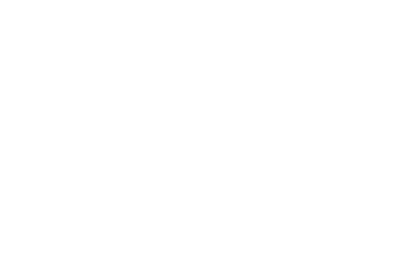 Veeam logo