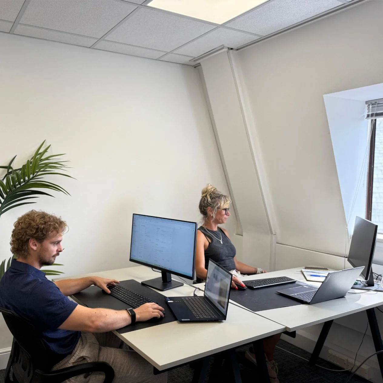 Two people working at adjacent desks with laptops and monitors in a modern office with a window and plant.