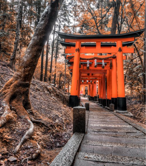 Destination Gallery Image
