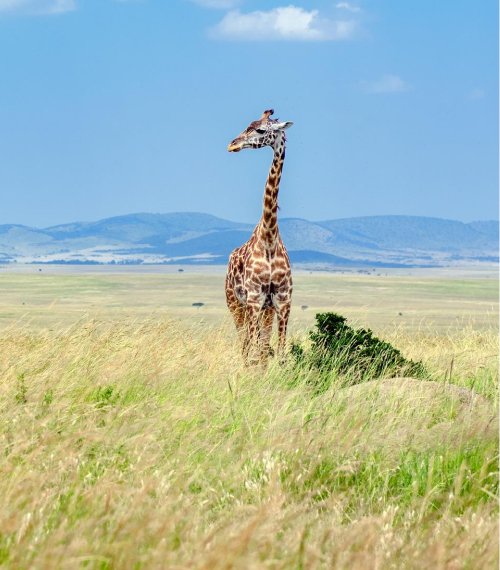 Destination Gallery Image