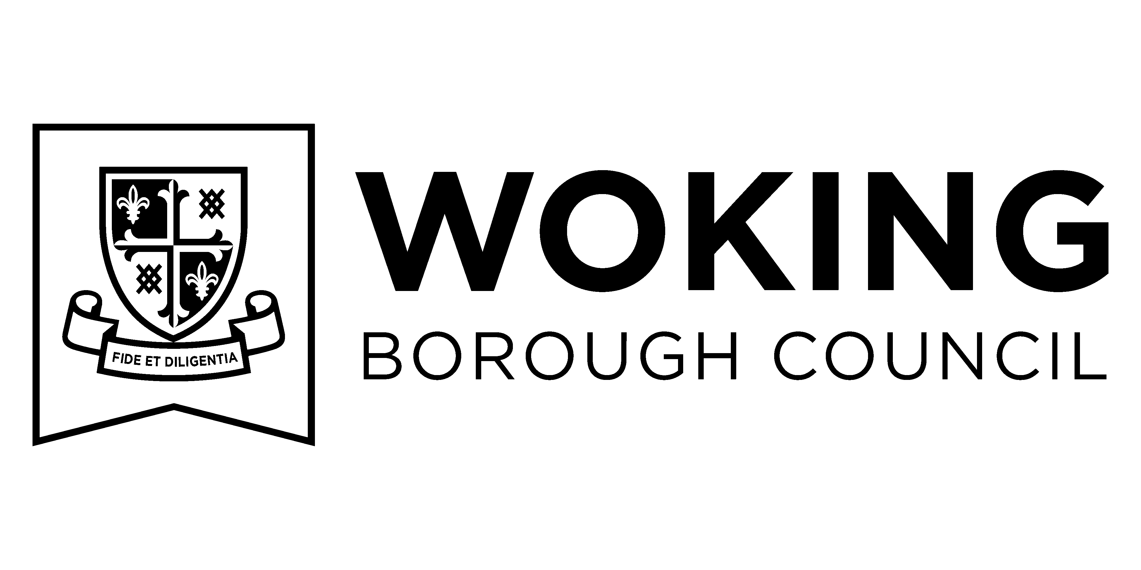 Logo of Woking Borough Council with a stylized crown and laurel wreath above the text.
