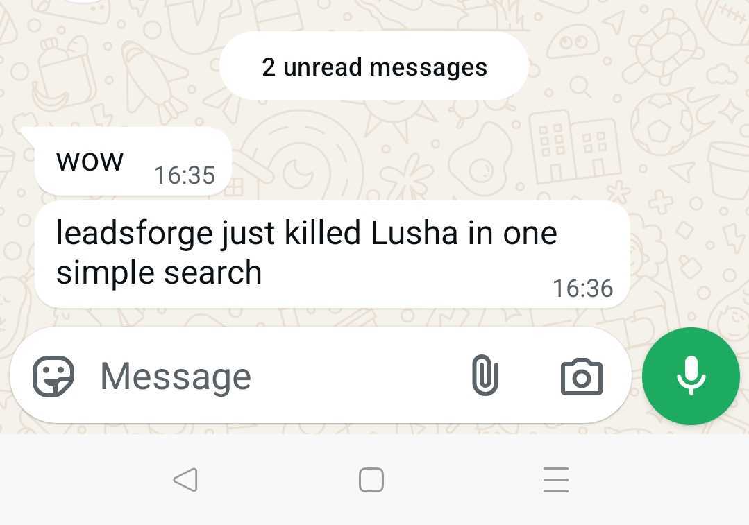 A screenshot of messages sent by a potential customer researching Lusha and Leadsforge