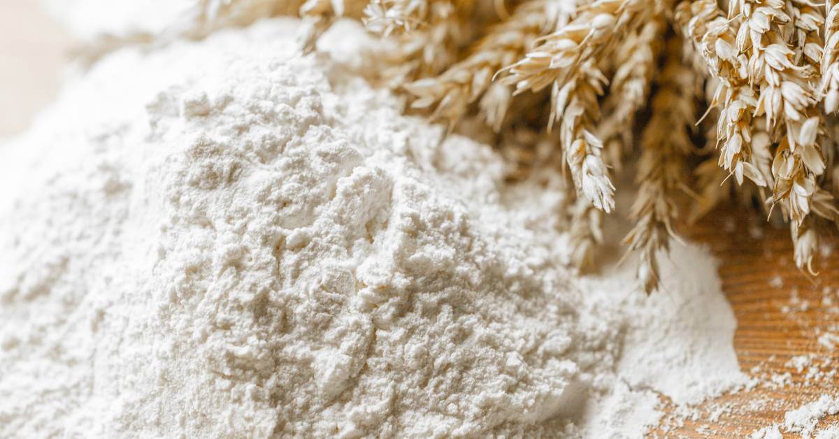 Farine de blé tendre et épis de blé – différence entre farine et semoule pour la pâte à pizza.