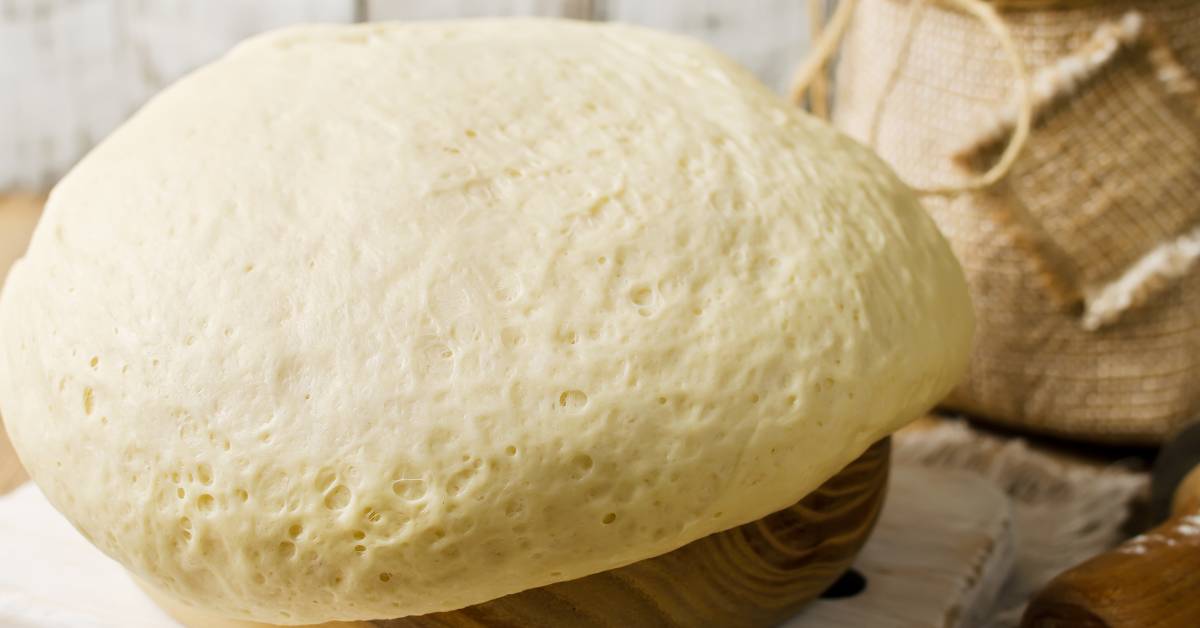 Pâte à pizza levée après fermentation grâce à la levure boulangère