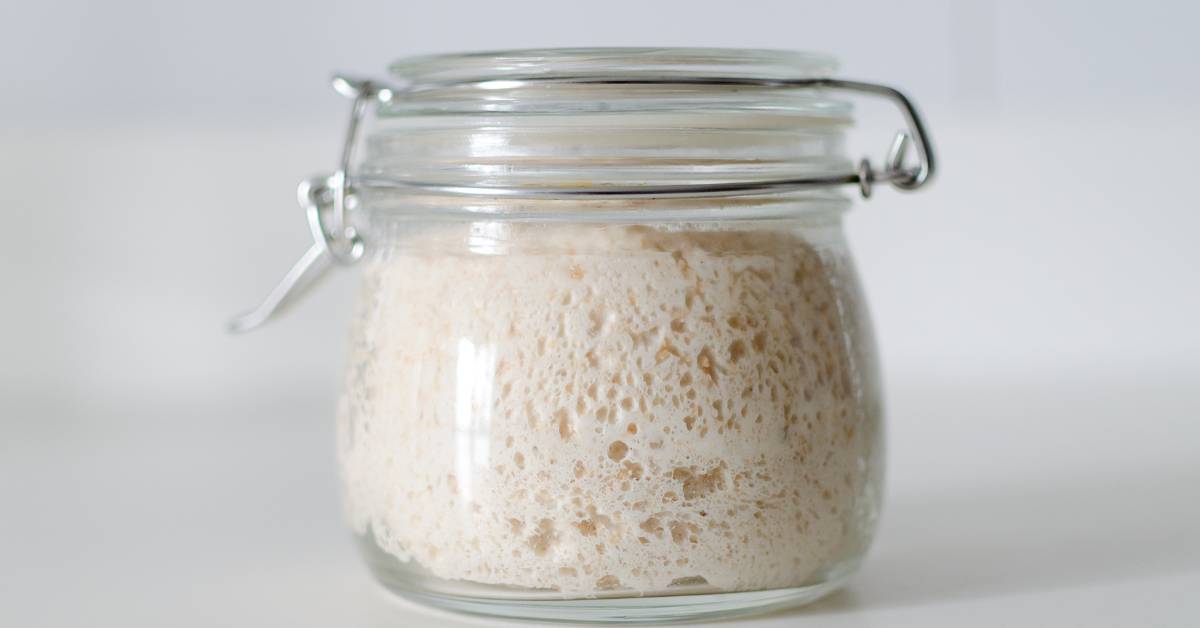 Levain naturel actif dans un bocal en verre pour la fermentation de la pâte à pizza
