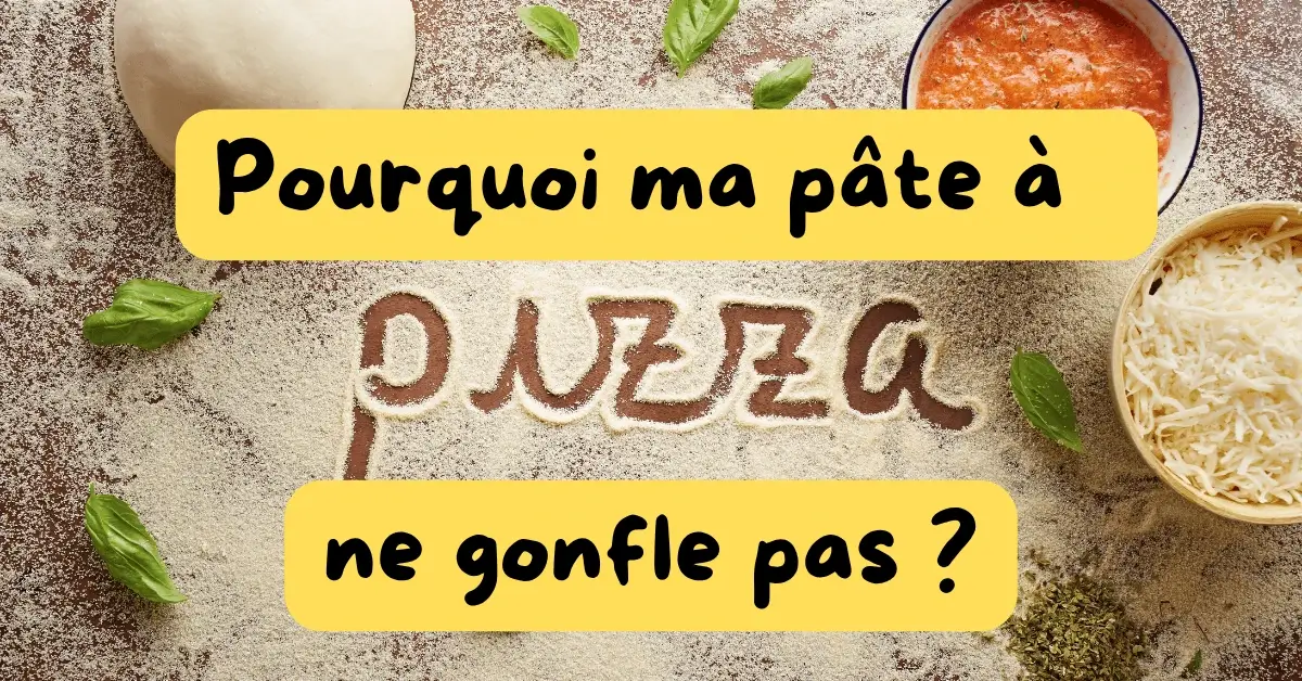 pourquoi pâte pizza ne gonfle pas pâte pizza ne lève pas problème levure pizza fermentation pâte pizza