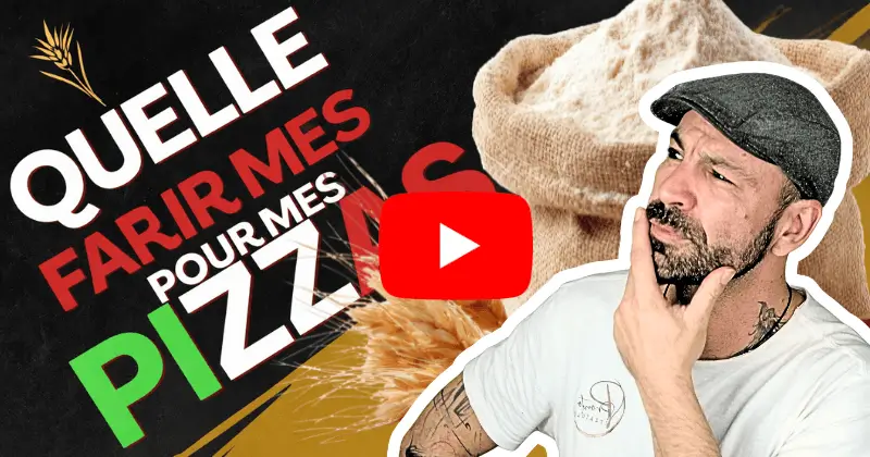 quelle farine pizza t45 t55 t65 farine pizza conseils choix farine pizzaiolo