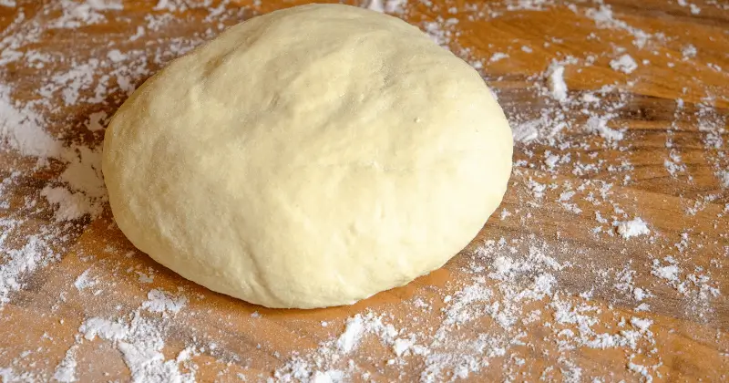 pate pizza ne gonfle pas probleme fermentation pate pizza levure temperature conseils pizzaiolo