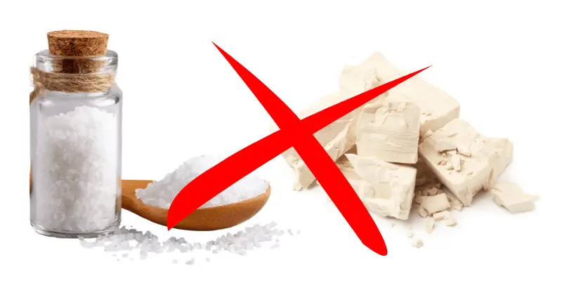 sel levure pizza erreur fermentation pate pizza sel levure interaction levure inactive