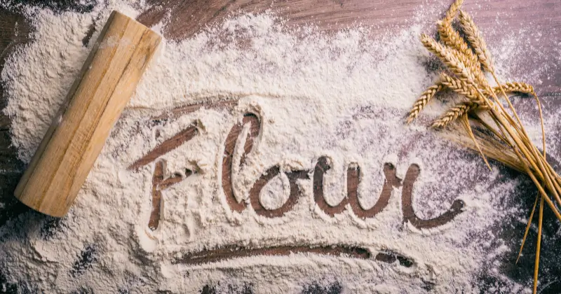 farine pizza force farine fermentation pate pizza choix farine pizzaiolo