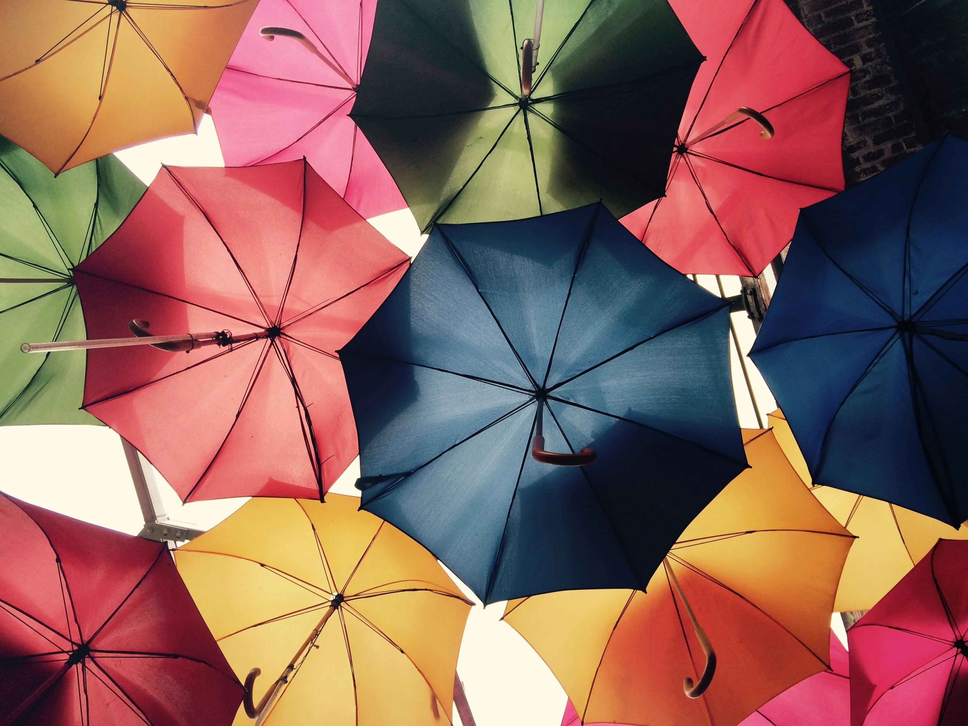 what is homeowners insurance