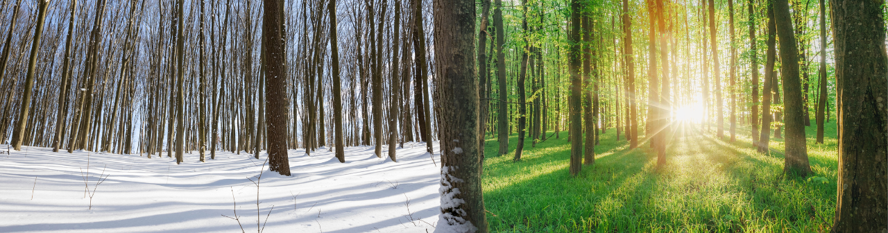 Spring Market Sweet Spot