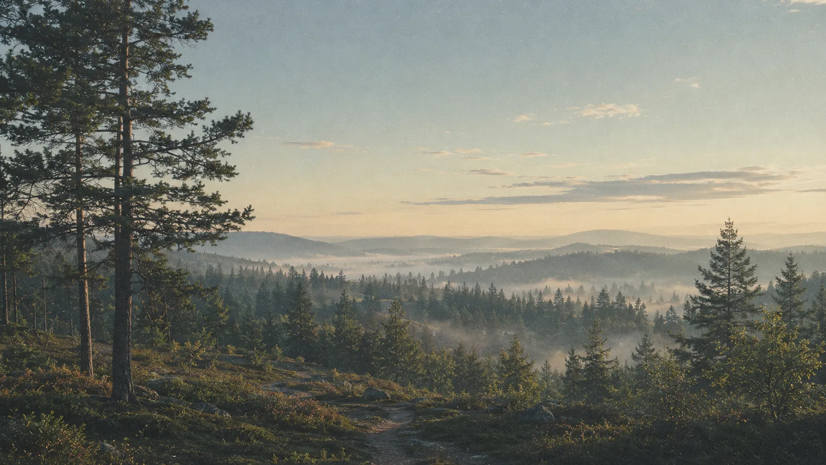 Foggy forest landscape with pine trees, rolling hills, and a dirt path at sunrise or sunset.