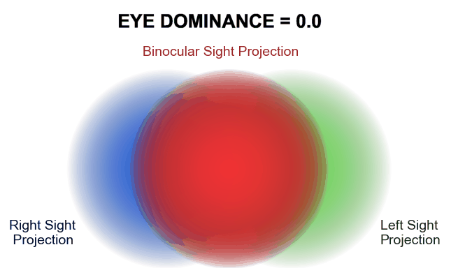 Animation demonstrating ocular dominance measures by binocular sight projection position