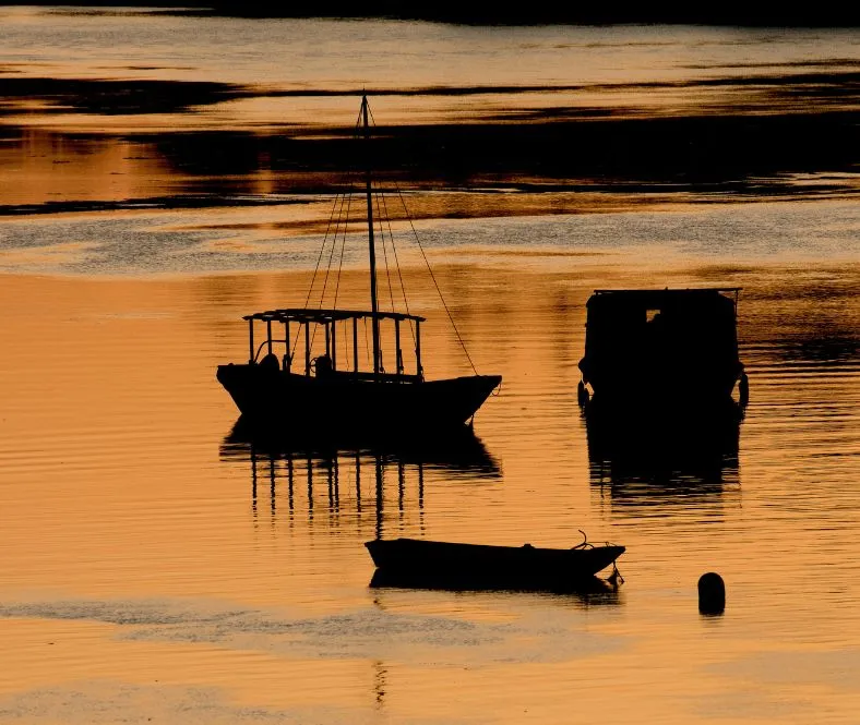 découvrir la France : flâner à Montsoreau sur la Loire à Vélo