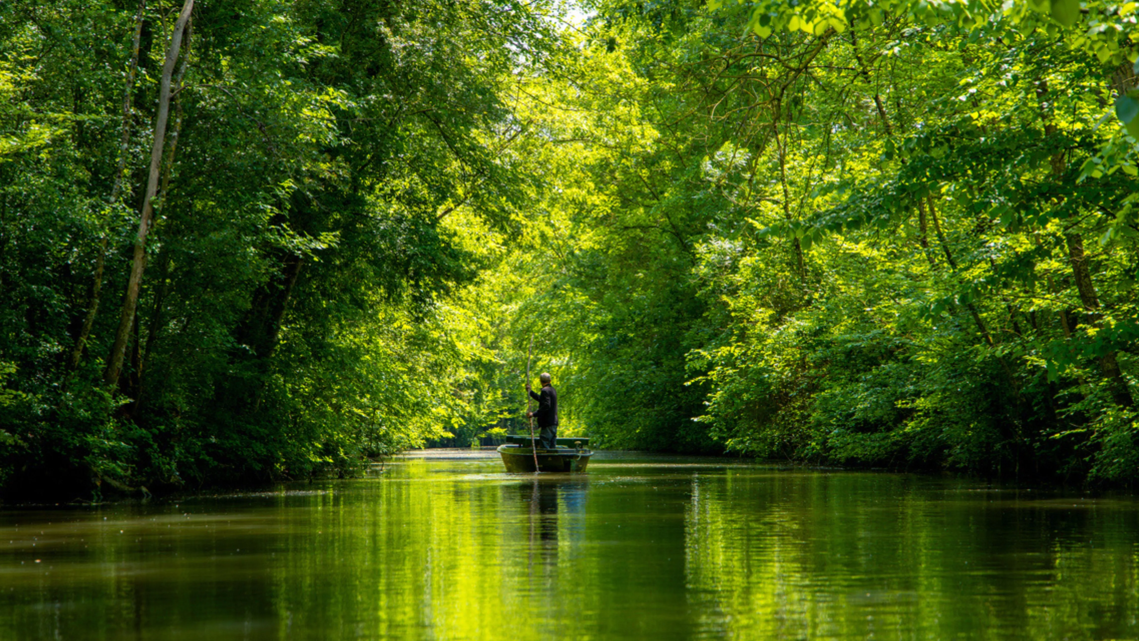 Visiter le Marais poitevin en 3 jours