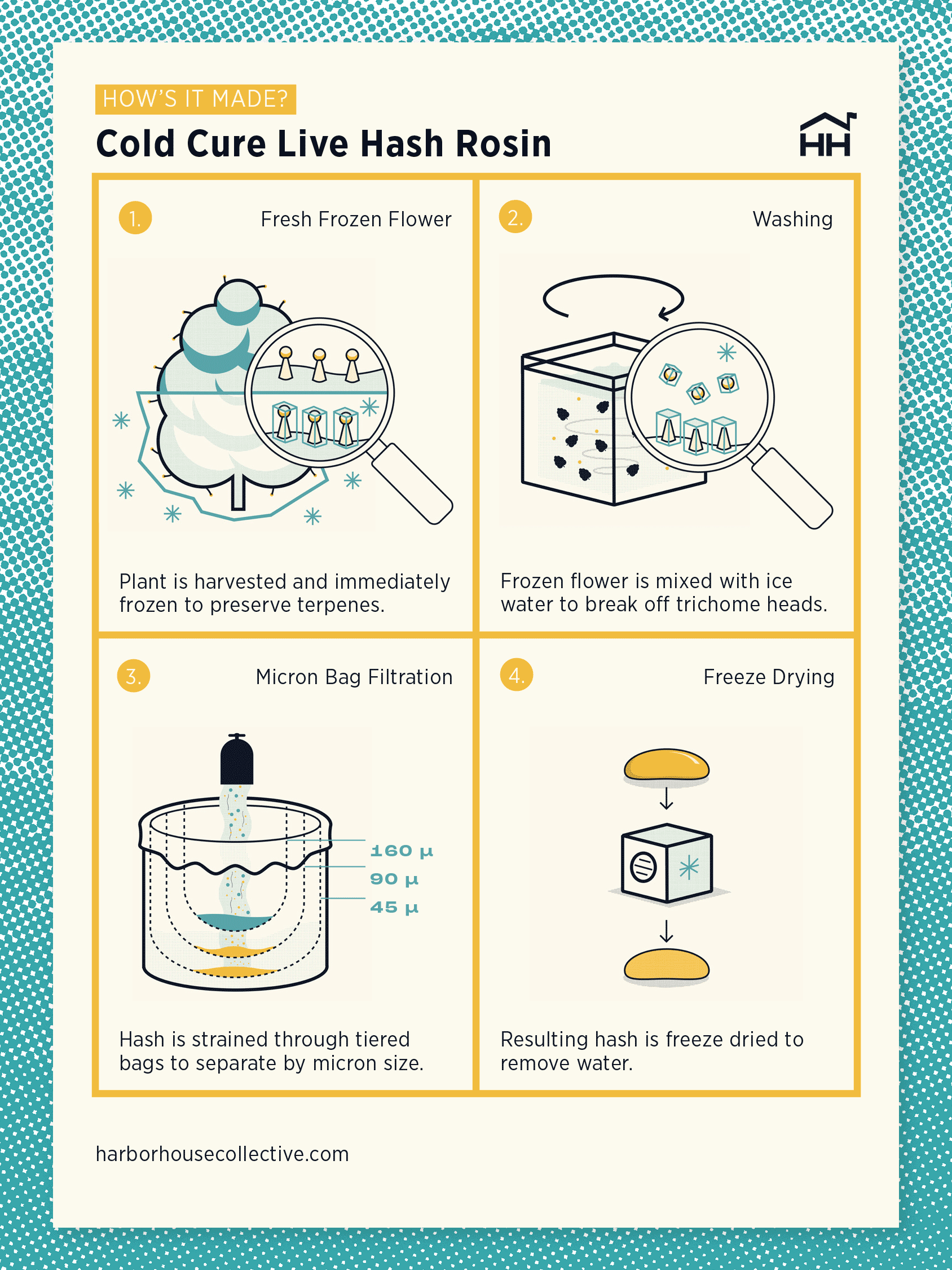 Infographic showing the eight-step process of making Cold Cure Live Hash Rosin.