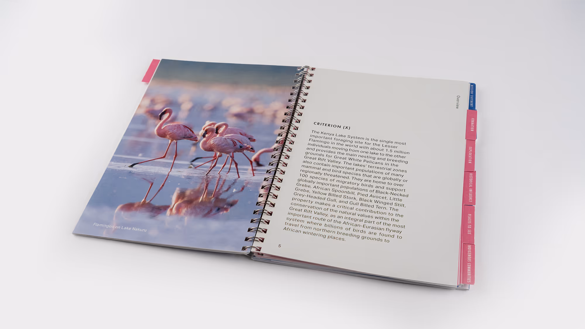Open spiral-bound book showing an image of flamingos standing in water with reflections and text describing the Kenya Lake System's ecological importance.