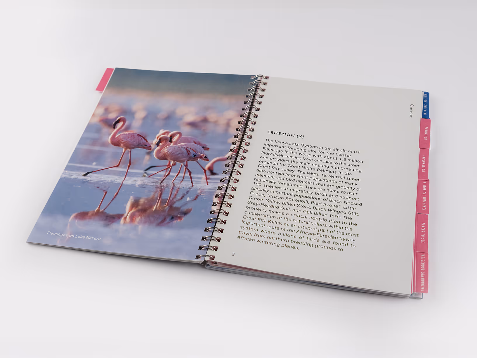 Open spiral bound book showing a photo of flamingos standing in water on the left and text about the Kenya Lake System on the right.