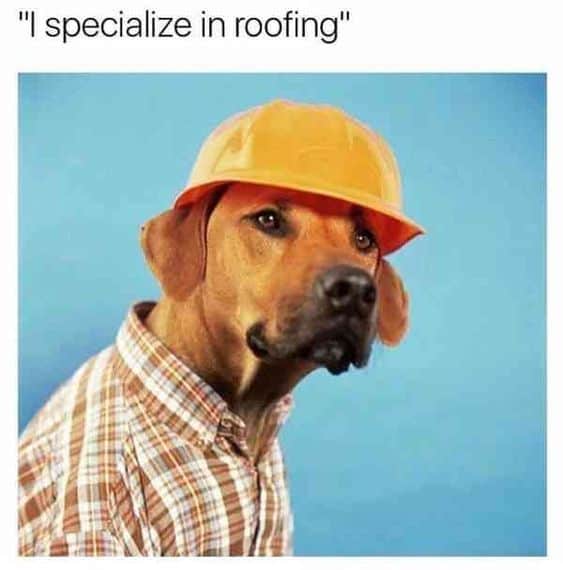 I specialize in roofing meme dog in a hard hat