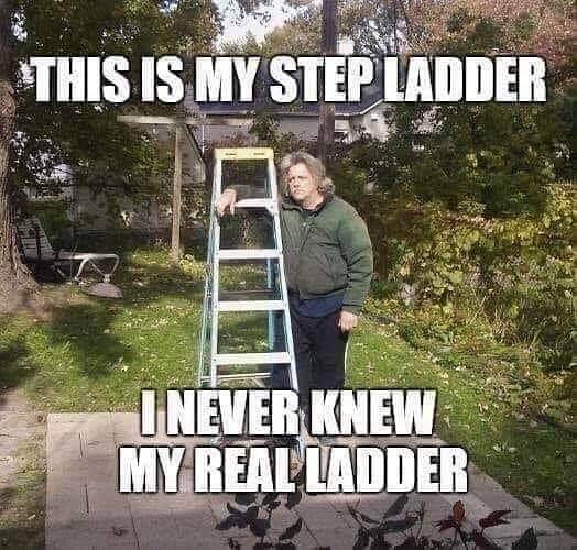 ladder roofing meme