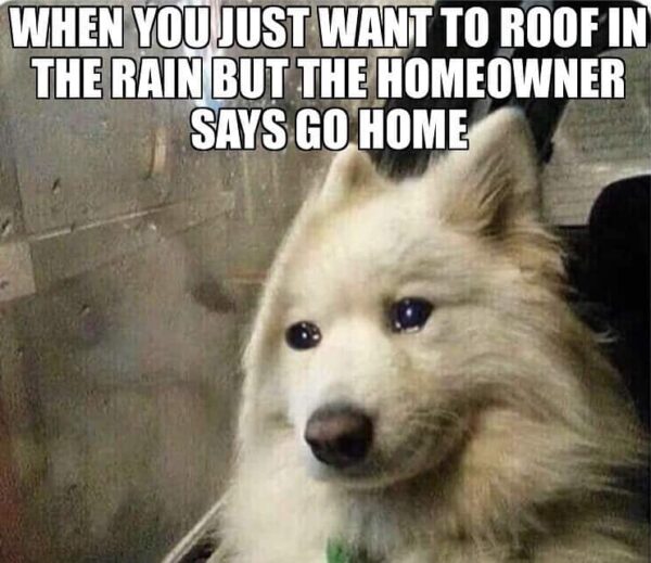 A dog with tears in its eyes saying, "When you just want to roof in the rain, but the homeowner says, 'Go home.'"