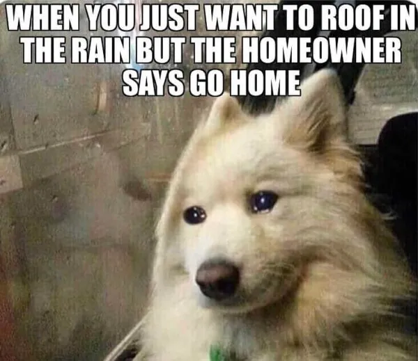 A dog with tears in its eyes saying, "When you just want to roof in the rain, but the homeowner says, 'Go home.'"