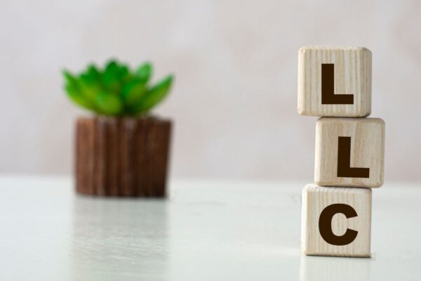 LLC letter blocks near a plant