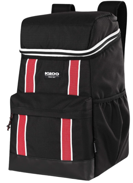 Backpack cooler