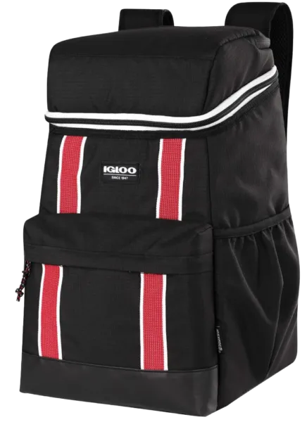 Backpack cooler