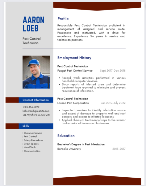 A Canva resume template