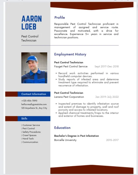 A Canva resume template