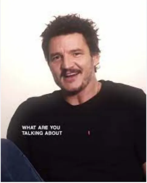 Pedro Pascal saying, "What do you mean?" social media meme