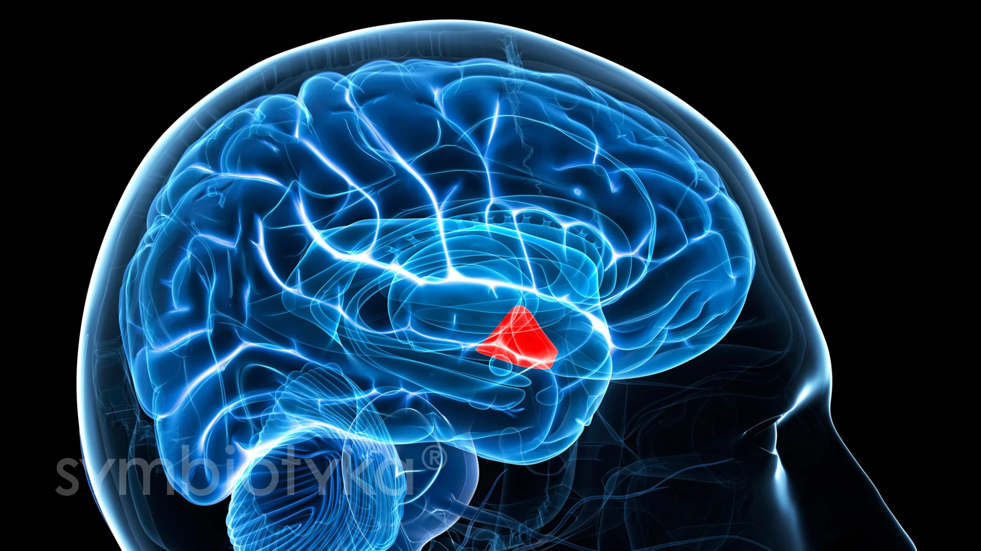 Гіпосекреція мелатоніну