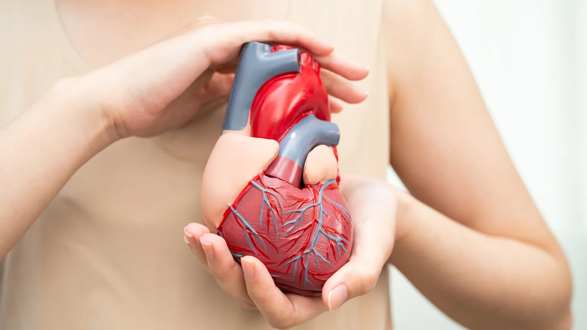 Жіноче серце: чому серцеві захворювання у жінок протікають інакше