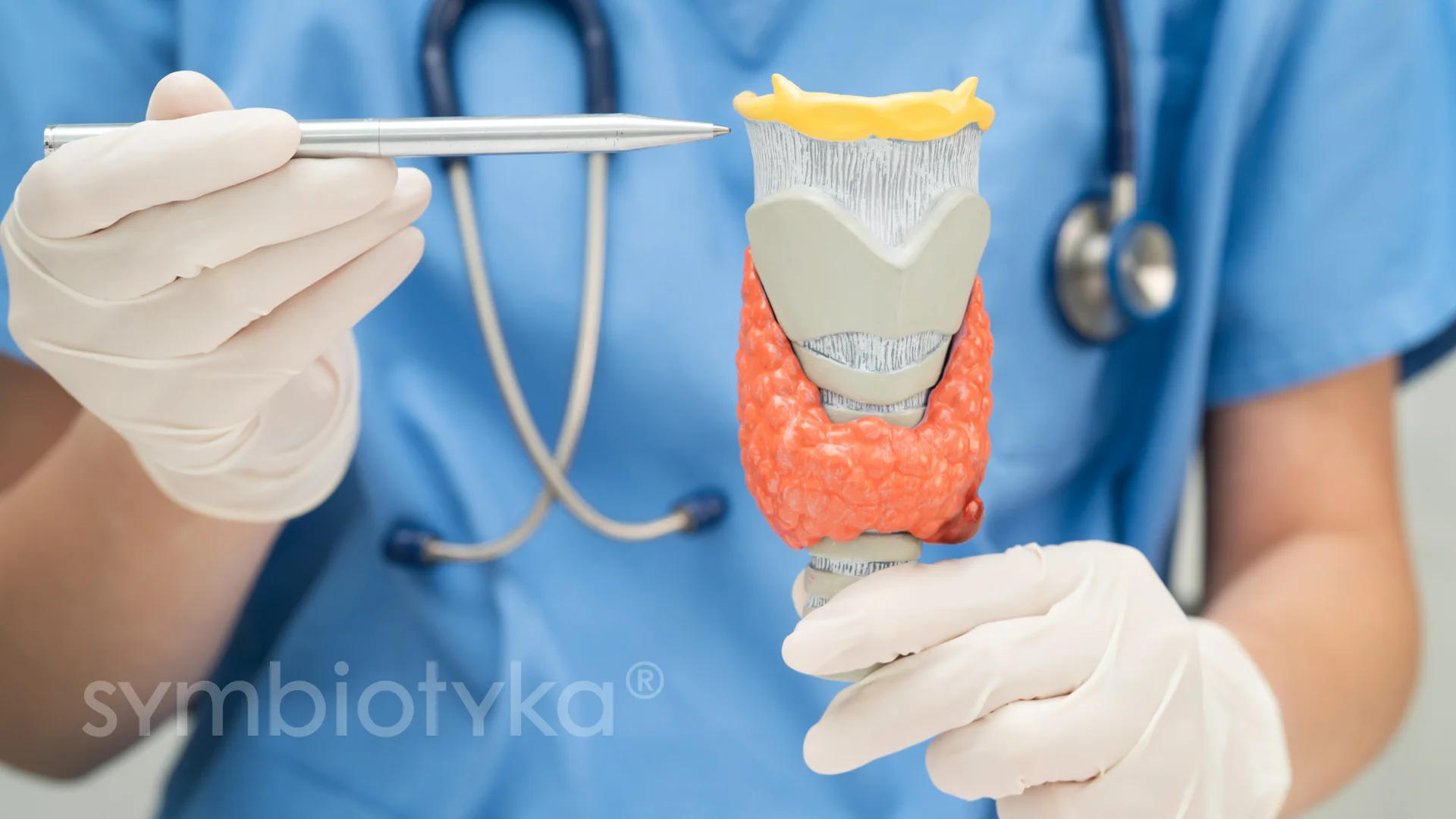 Ендокринологічний