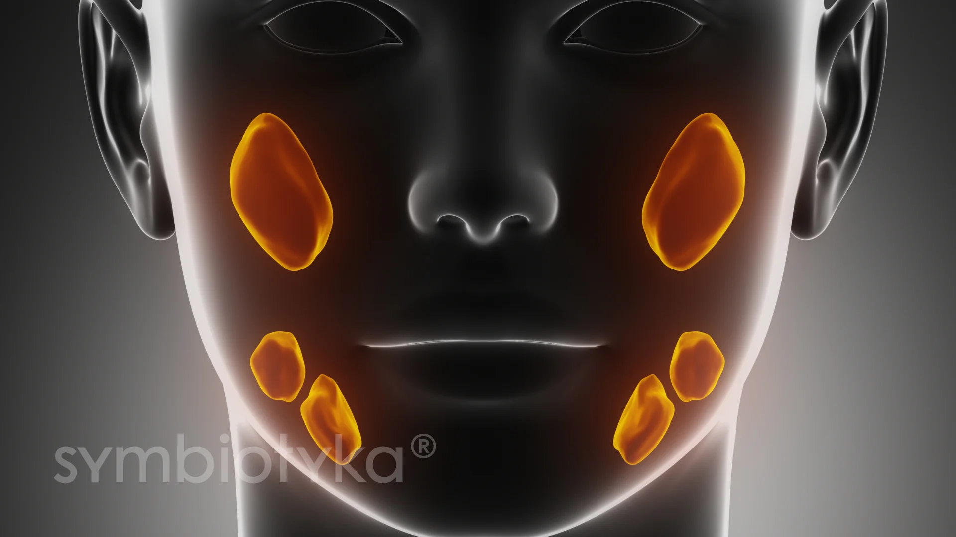 УЗД слинних залоз