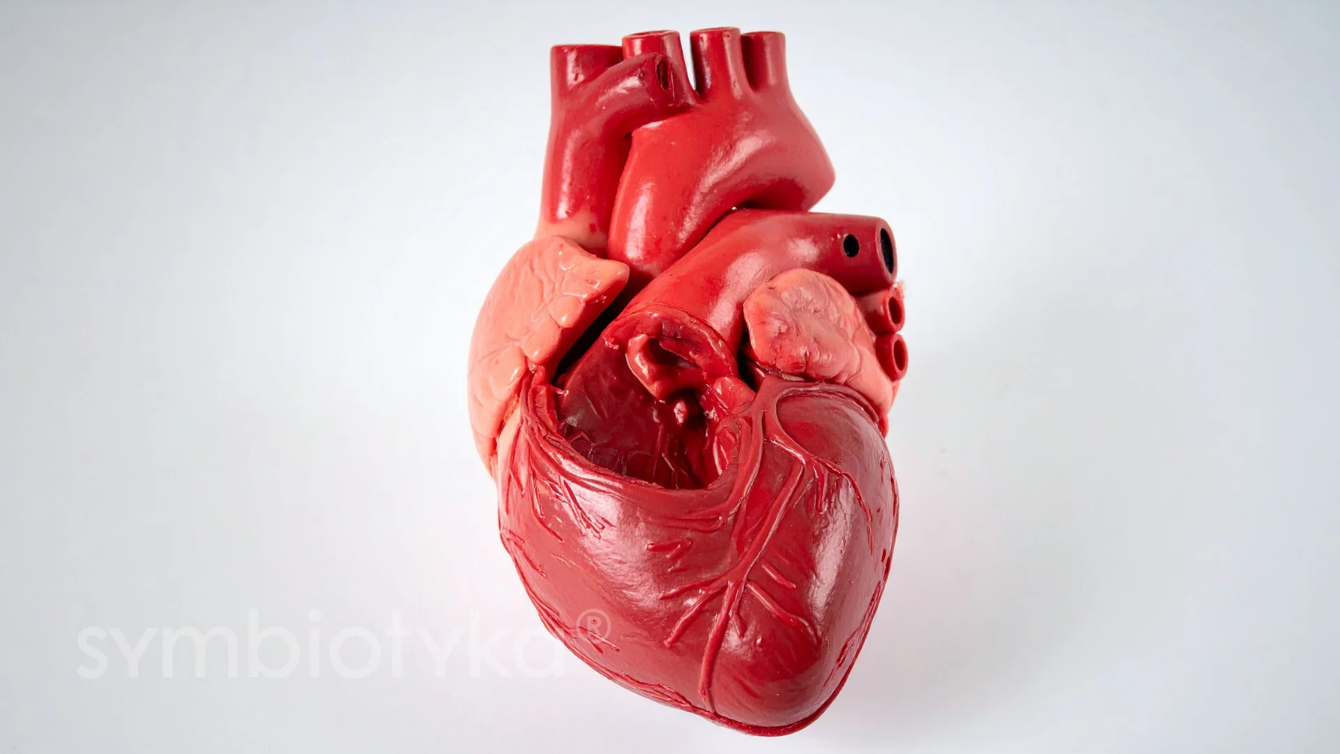 Кардіокомплекс 4+