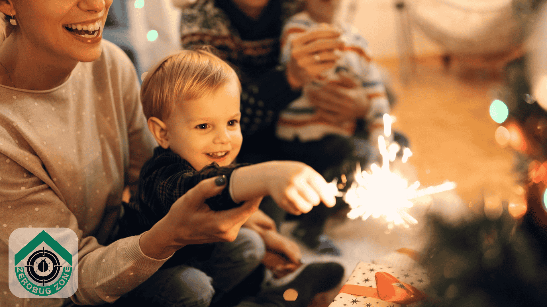 Why Professional Pest Control Improves the Holiday Atmosphere