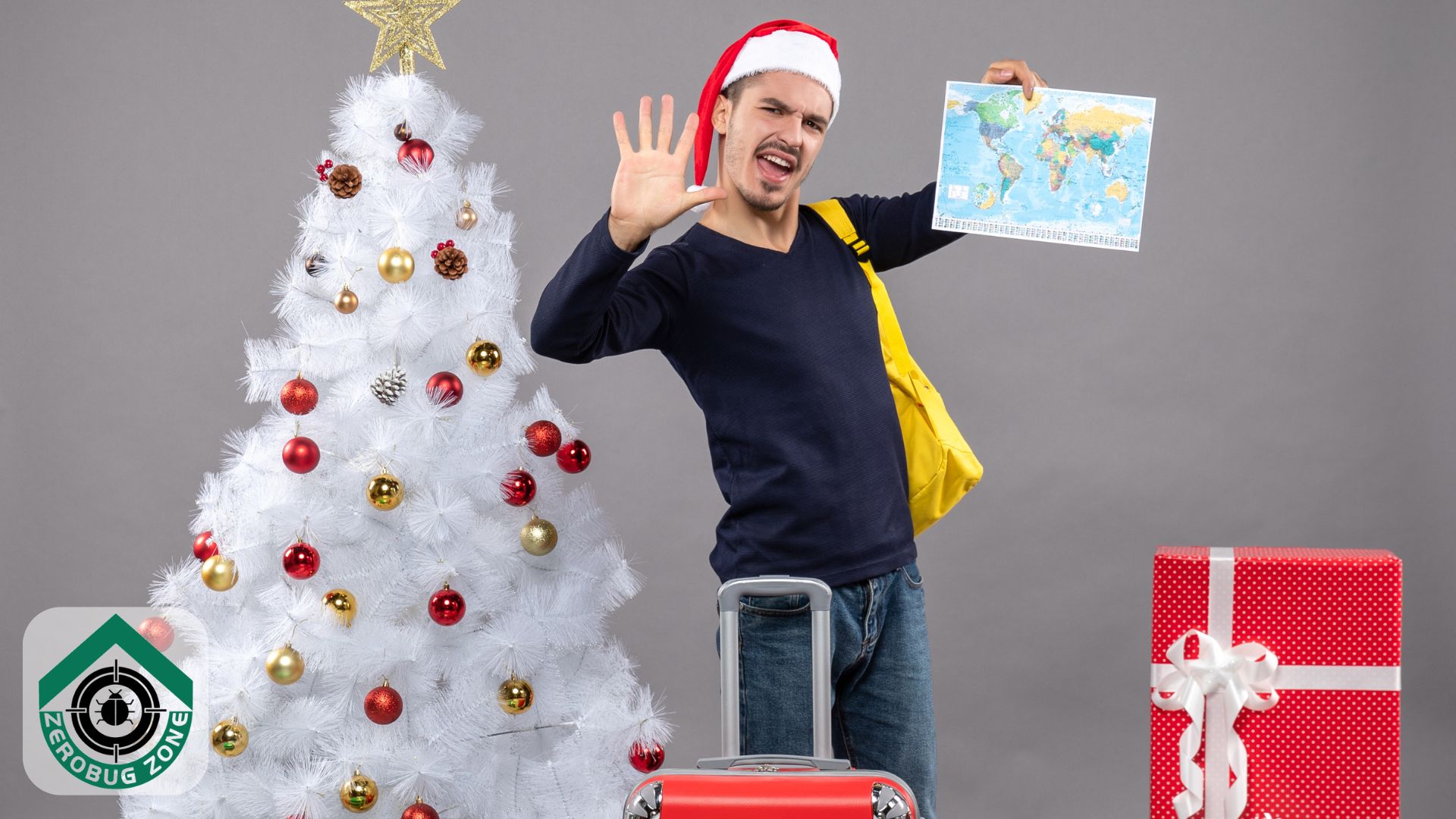 Travelling for the Holidays? How to Avoid Bringing Bed Bugs Home