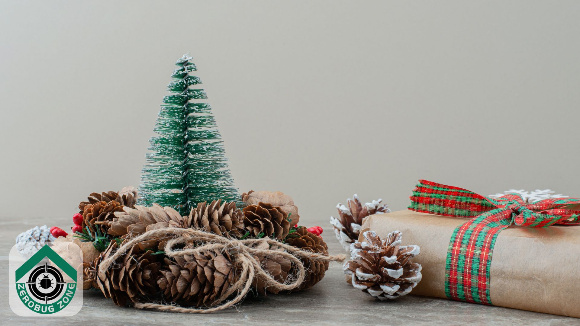 Are Your Holiday Decorations Hiding Pests? (How to Inspect & Store Them)