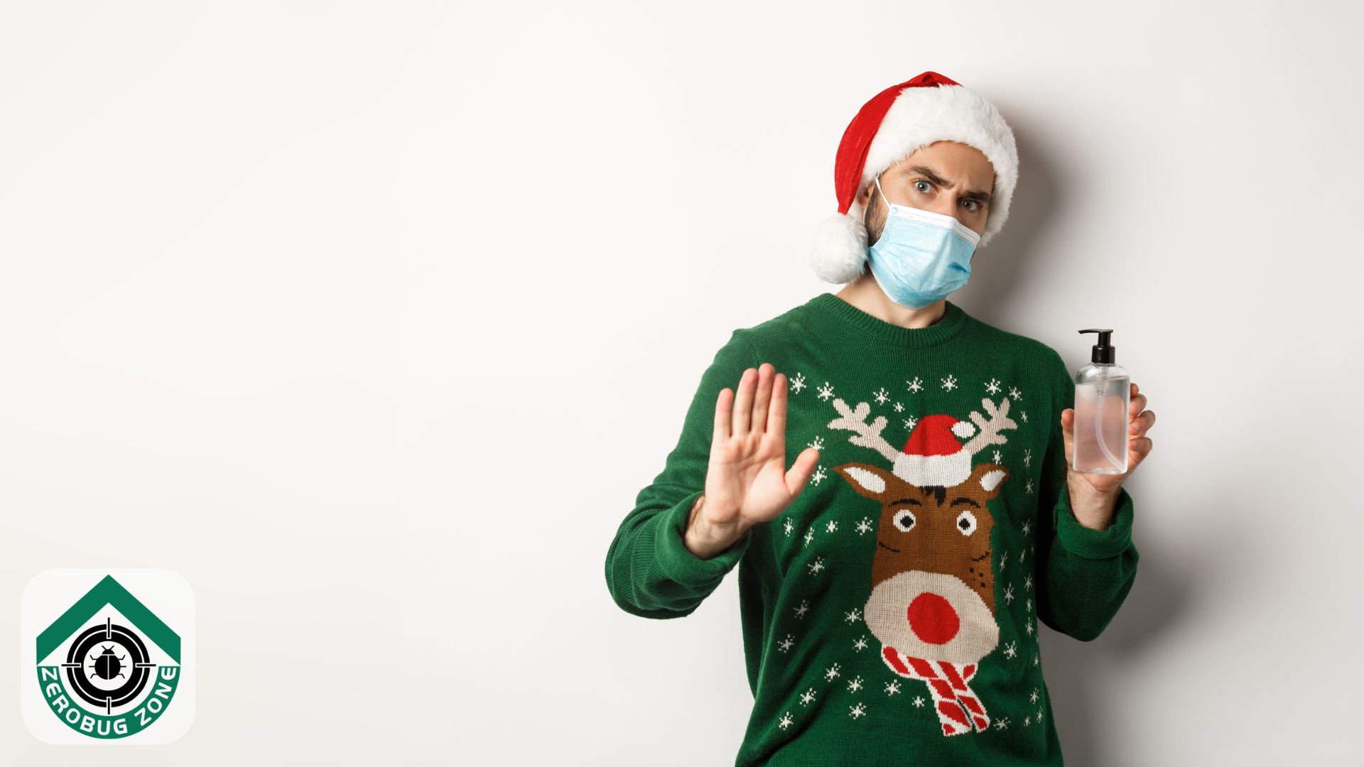 Are Your Holiday Decorations Hiding Pests? (How to Inspect & Store Them)