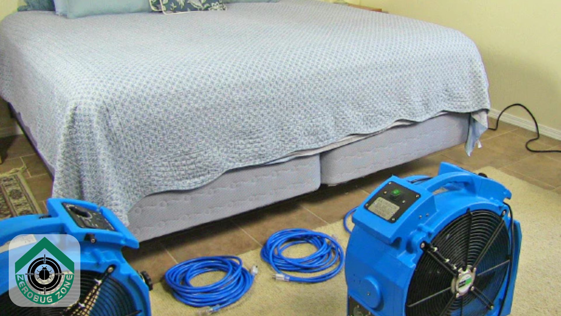 Bed Bug Heat Treatment: The Most Effective Solution for Bed Bugs in the GTA