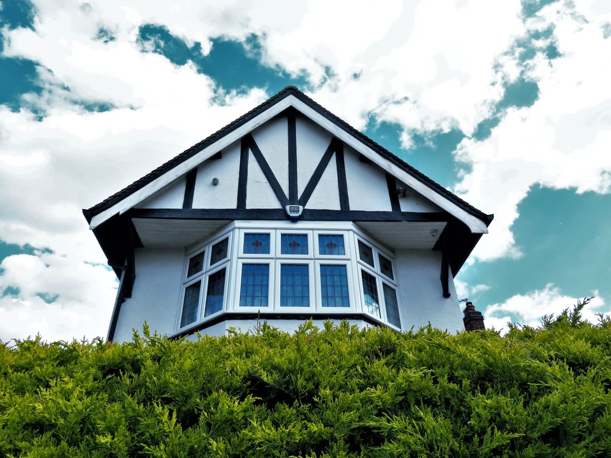 Modern home windows