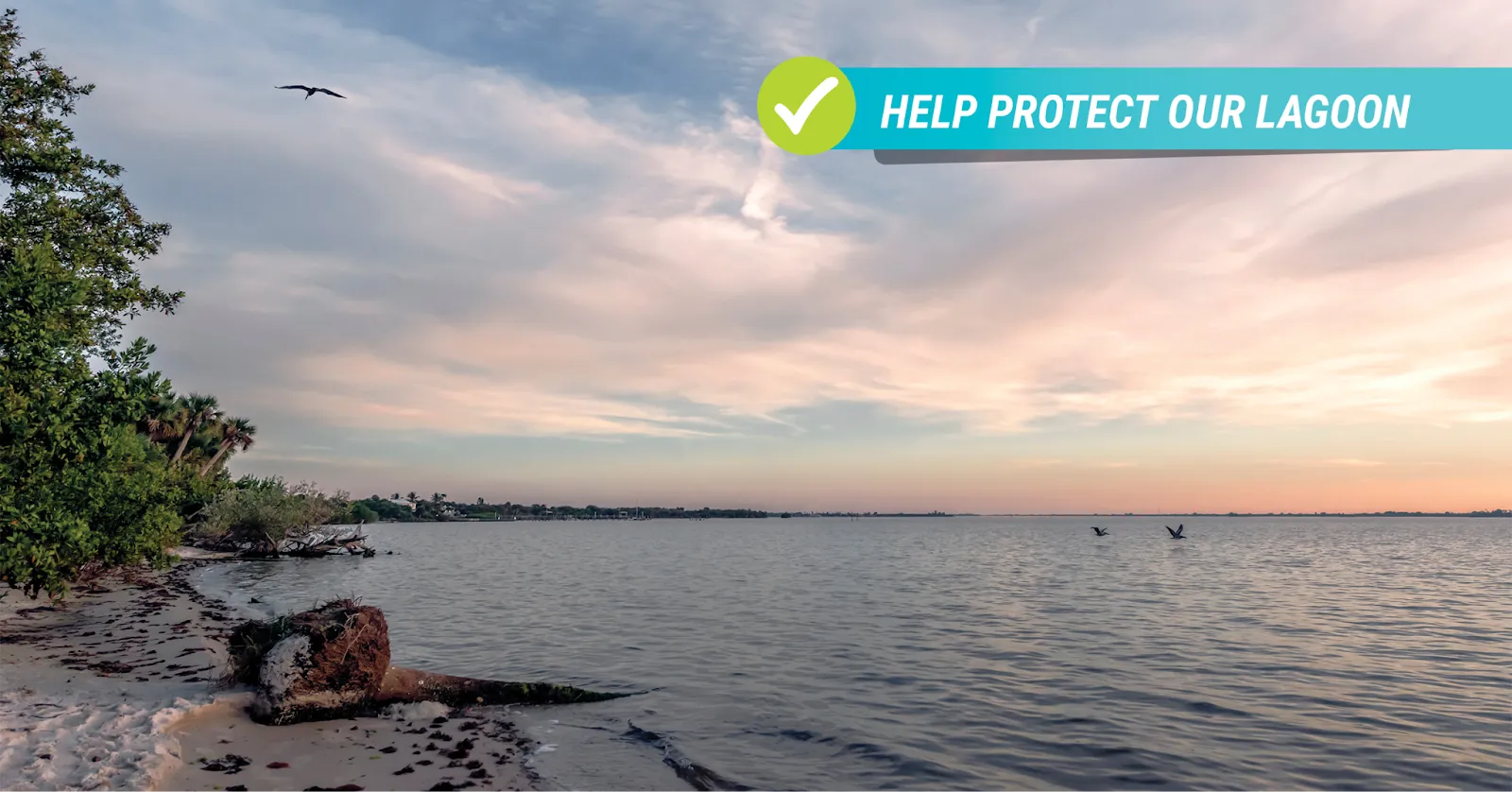 Peaceful view of the Indian River Lagoon at sunset, with gentle waves, shoreline vegetation, and birds flying over the water.