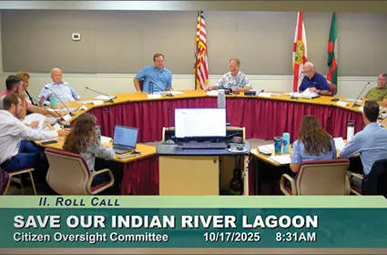 Illustrated scene of a suburban neighborhood during a rainstorm, with sprinkler heads raised in a lawn that doesn’t need watering due to heavy rainfall.