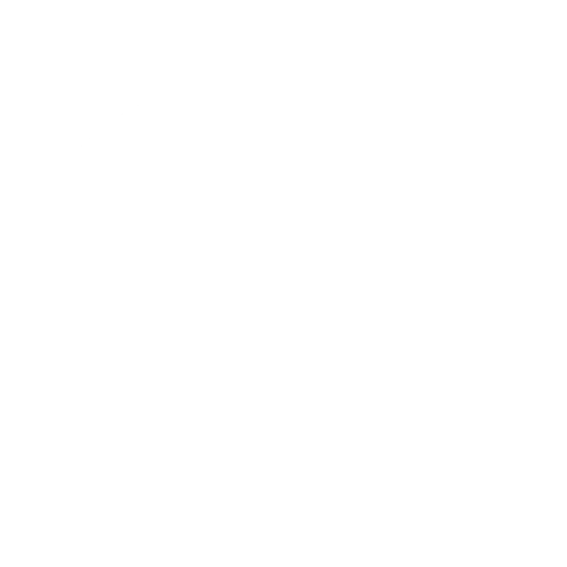 Rep Revolution Logo 