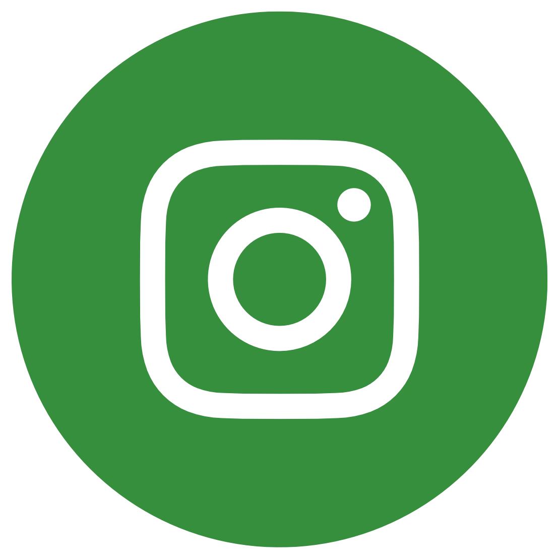 Instagram Icon 